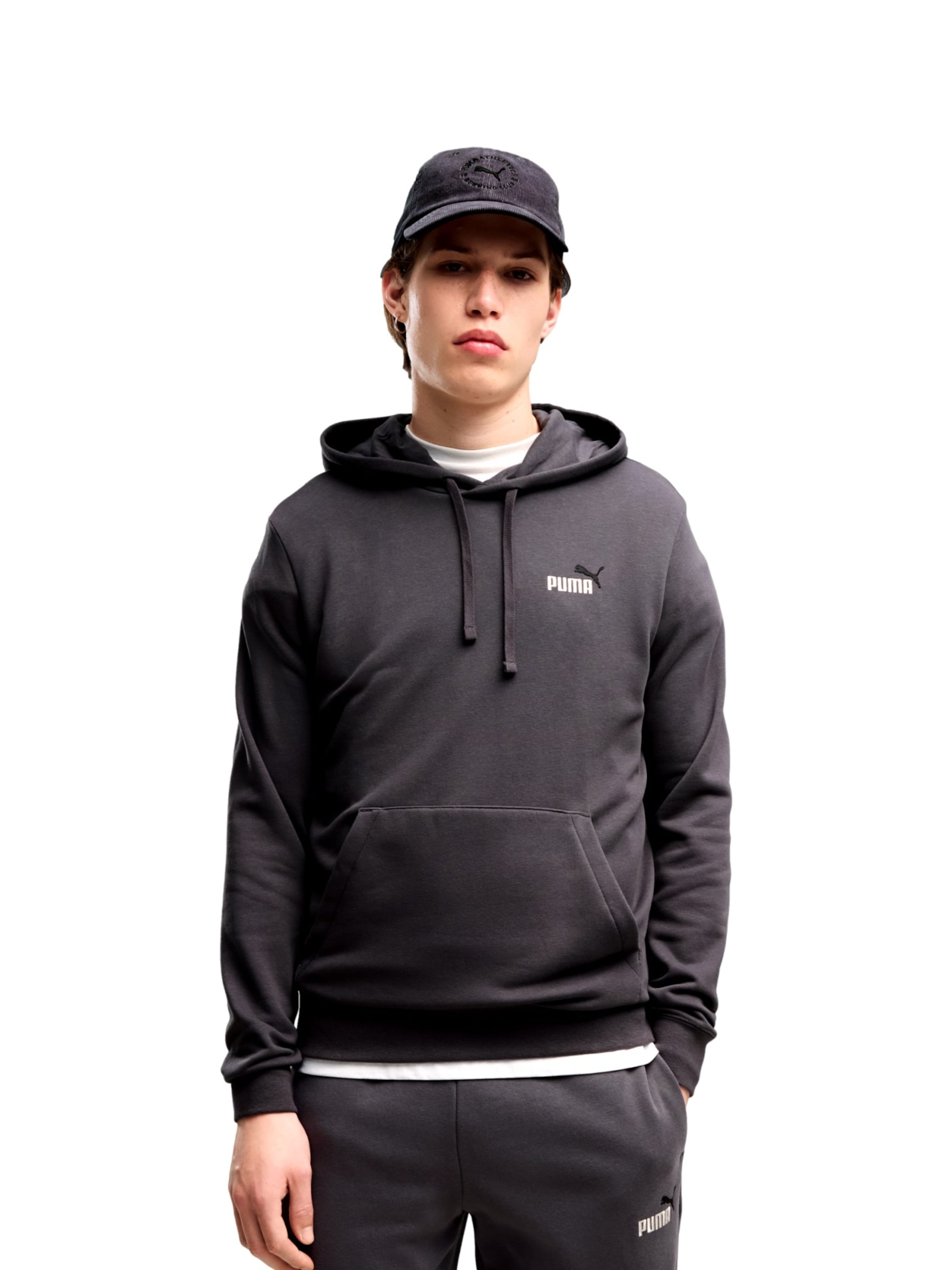 PUMA Sweatshirt in Grey: front