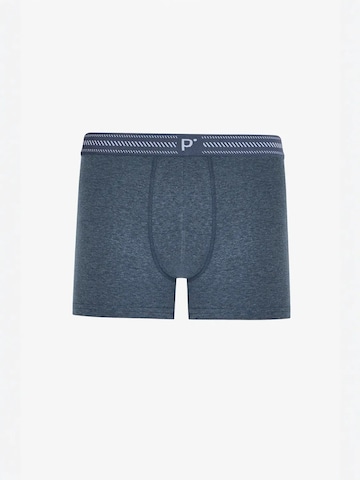 Penti Boxershorts 'PENTI Herren Shades Boxer'‌‌‌‌‌‌‌‌ in Mischfarben