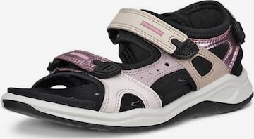ECCO Sandals in Pink: front