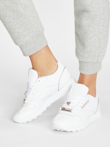 Baskets basses 'Cl Lthr' Reebok en blanc : devant