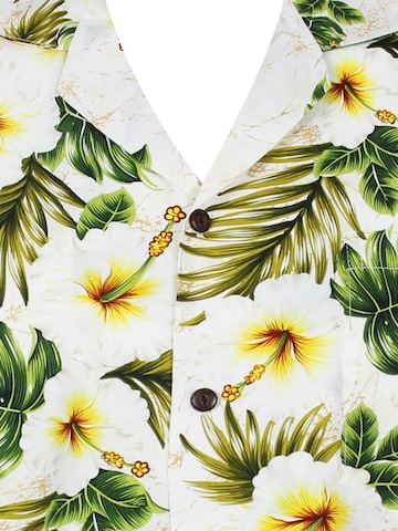 KY's Regular Fit Hemd '3-Farben'‌‌‌‌‌‌‌‌‌ in Weiß