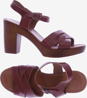 COX Sandals & High-Heeled Sandals in 39 in Brown: front
