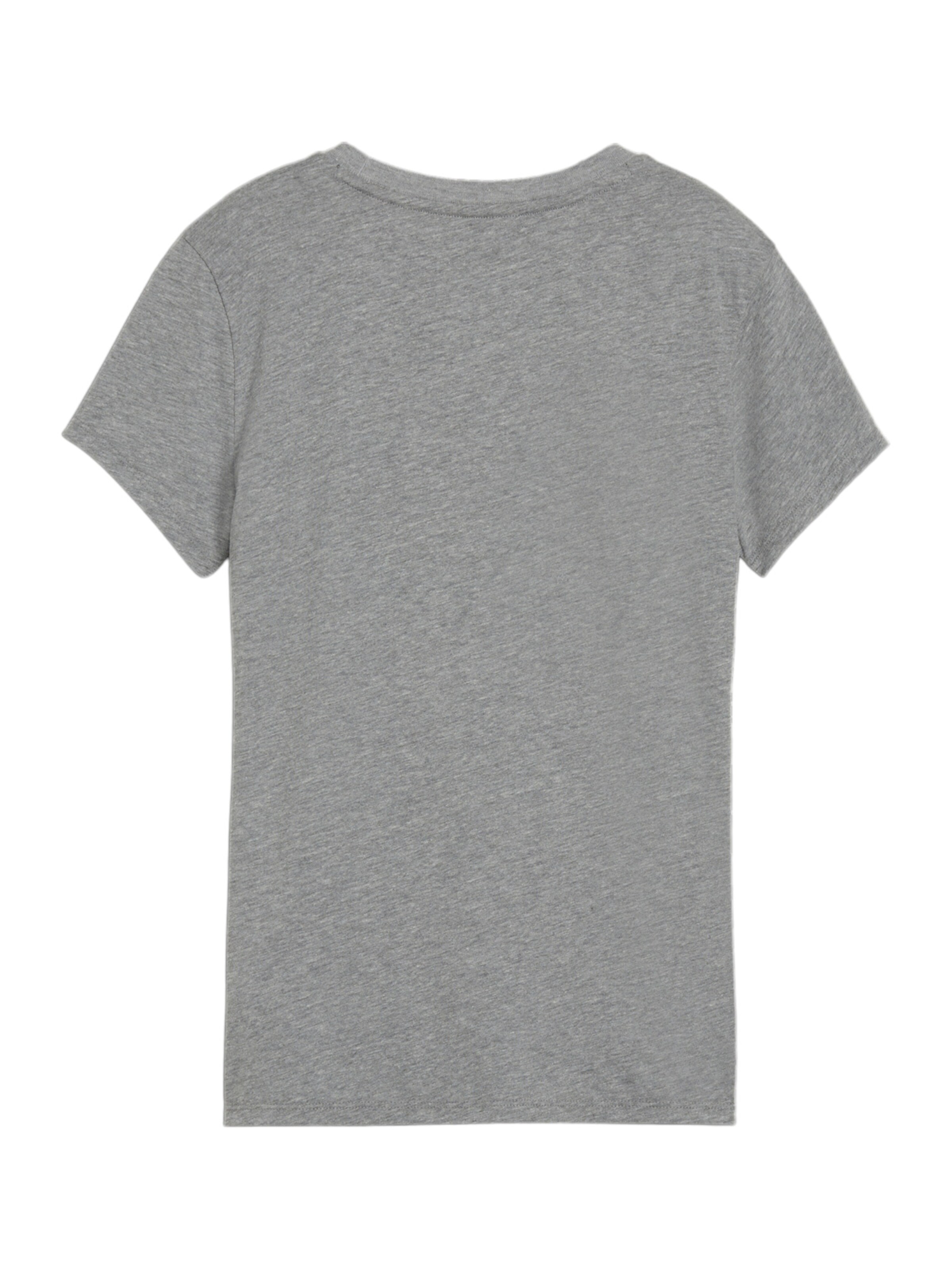 PUMA Funktionsshirt 'TeamGOAL' in Grau