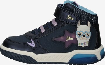 GEOX Sneakers in Blauw