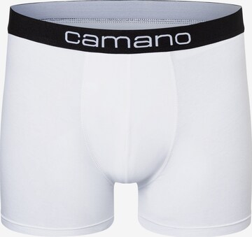 camano Boxer shorts in Black
