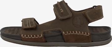 CLARKS Hiking Sandals 'Nature 5' in Brown