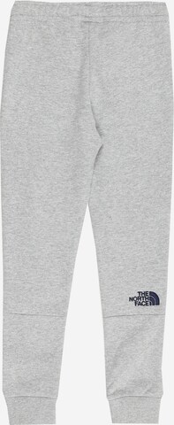 Tapered Pantaloni di THE NORTH FACE in grigio