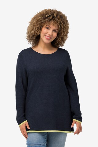 Ulla Popken Pullover in Blau: predná strana