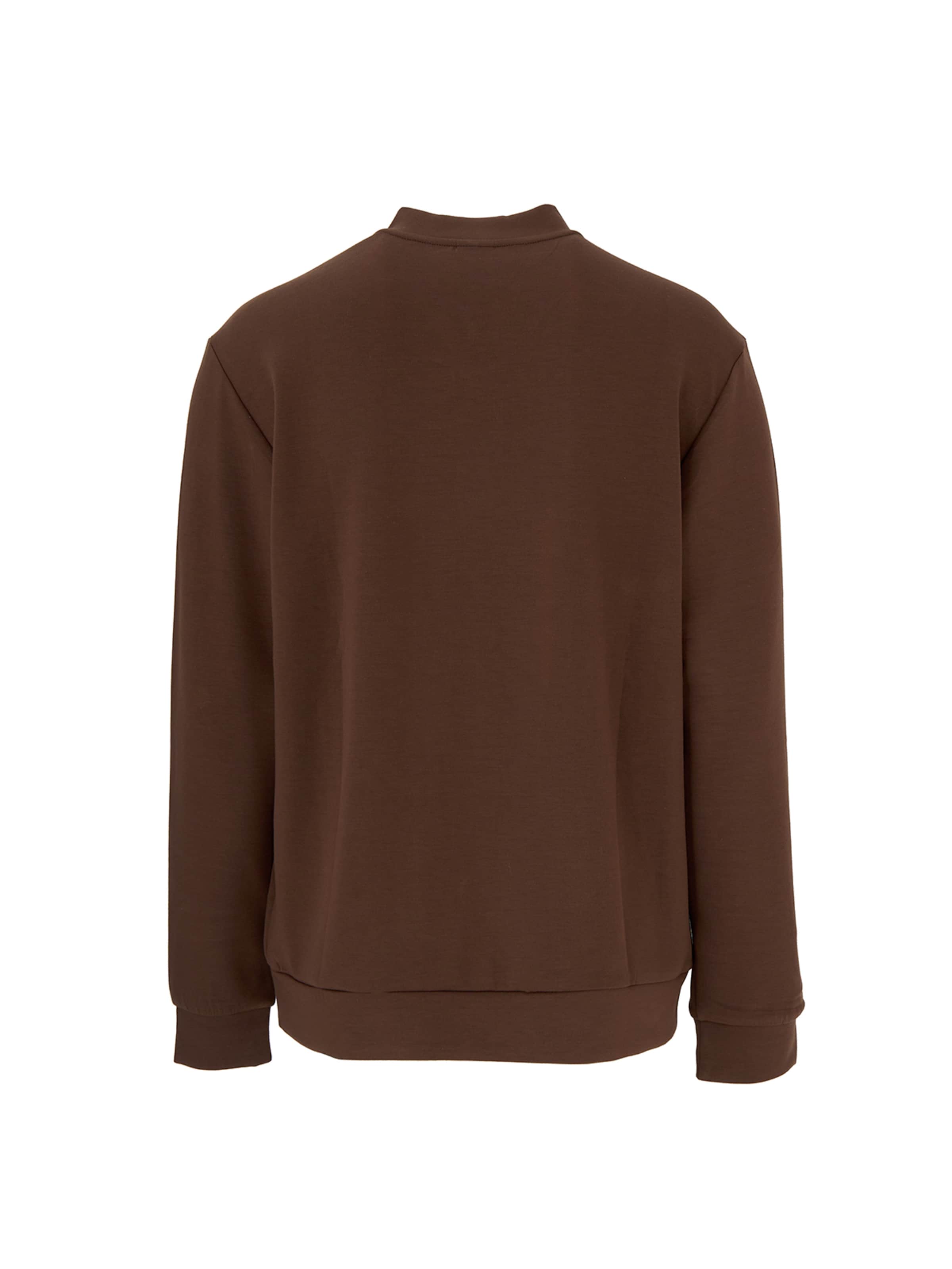 Dagi Sweatshirt in Bruin