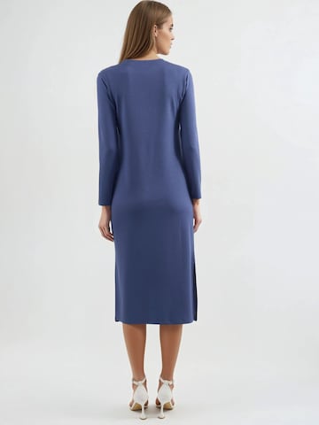 Hiccup Jurk in Blauw