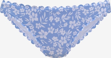 VIVANCE Низ бикини в Синий: спереди
