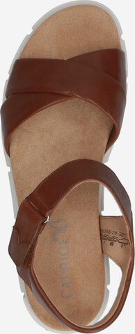 CAPRICE Sandals in Brown