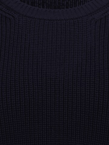 ARMEDANGELS Pullover in Blau