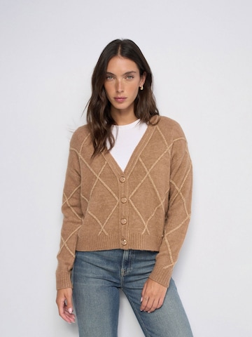 Salsa Jeans Strickjacke in Braun: Vorderseite