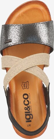 IGI&CO Strap Sandals in Mixed colors