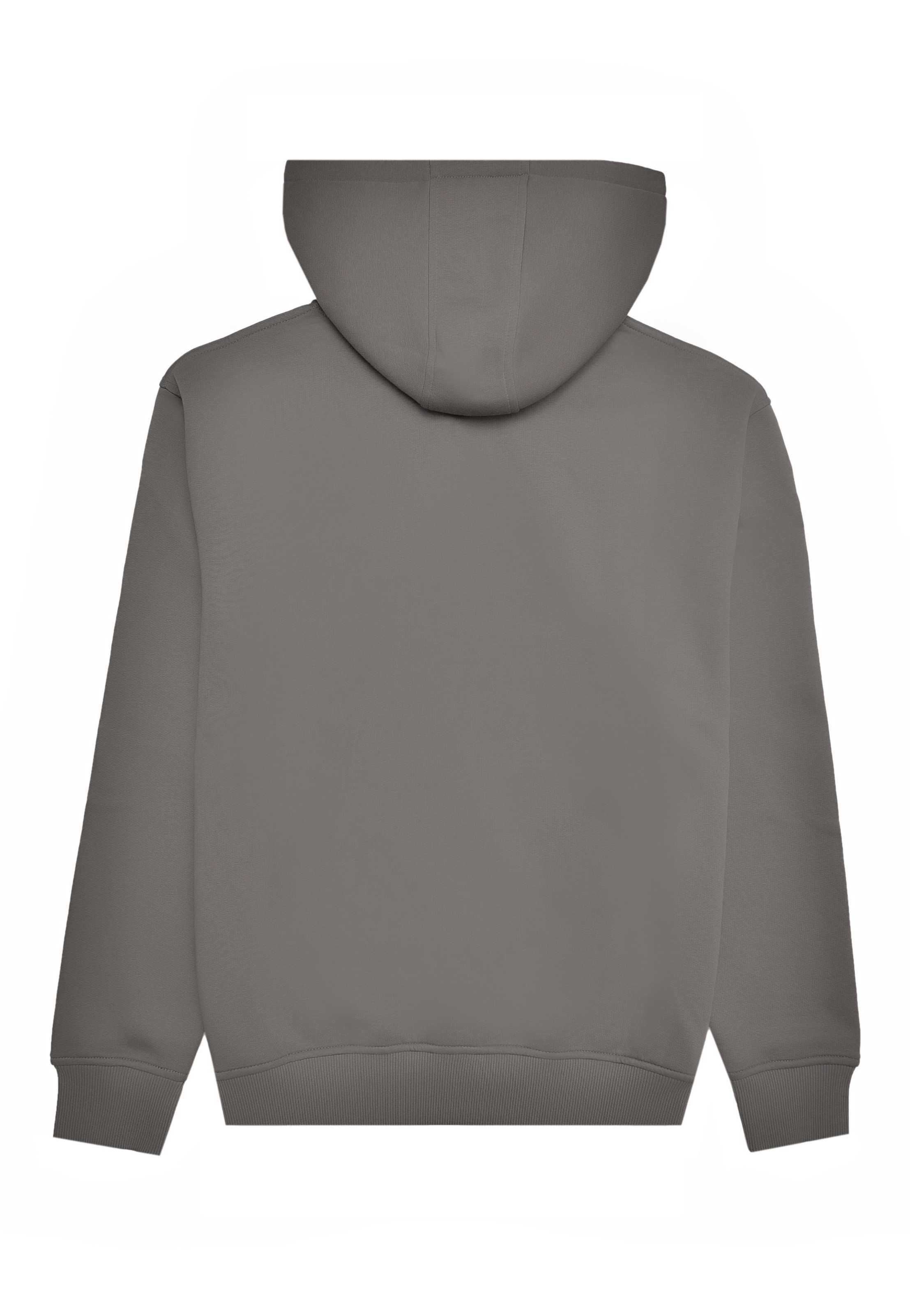 883Police Sweatshirt 'Delungra' in Grey