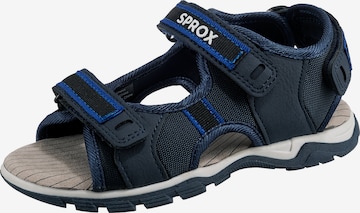 Sprox Sandals & Slippers in Blue: front