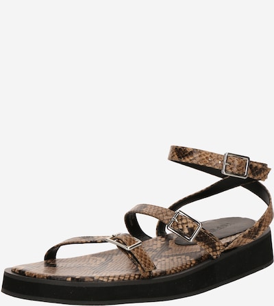 Basutės su dirželiais 'Jake' iš TOPSHOP, spalva – smėlio spalva / juoda, Prekių apžvalga