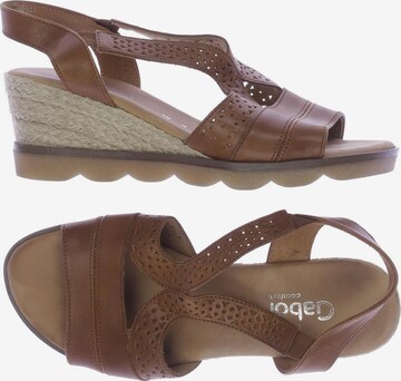GABOR Sandals & High-Heeled Sandals in 37 in Brown: front