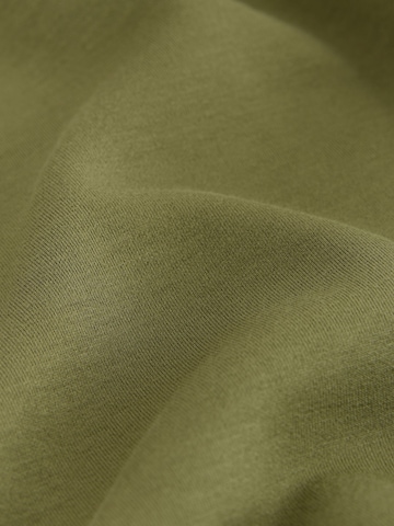 Next Regular Shorts in Grün