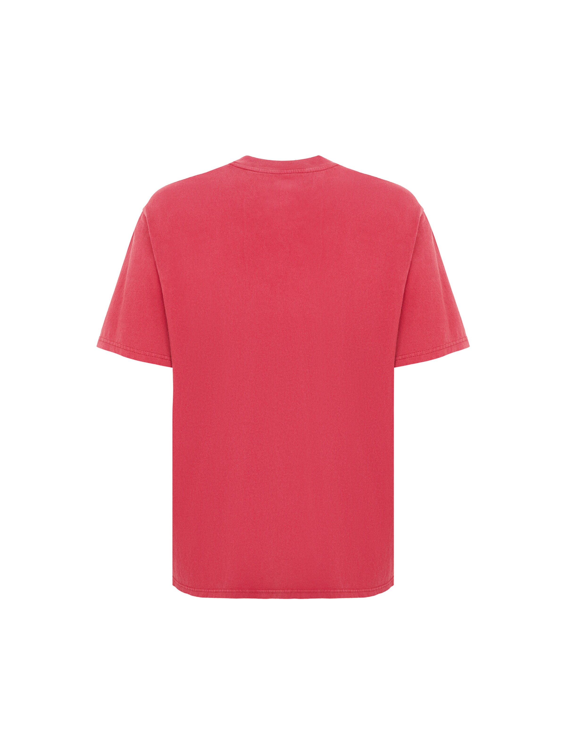 DICKIES Футболка 'Plentywood' в Красный