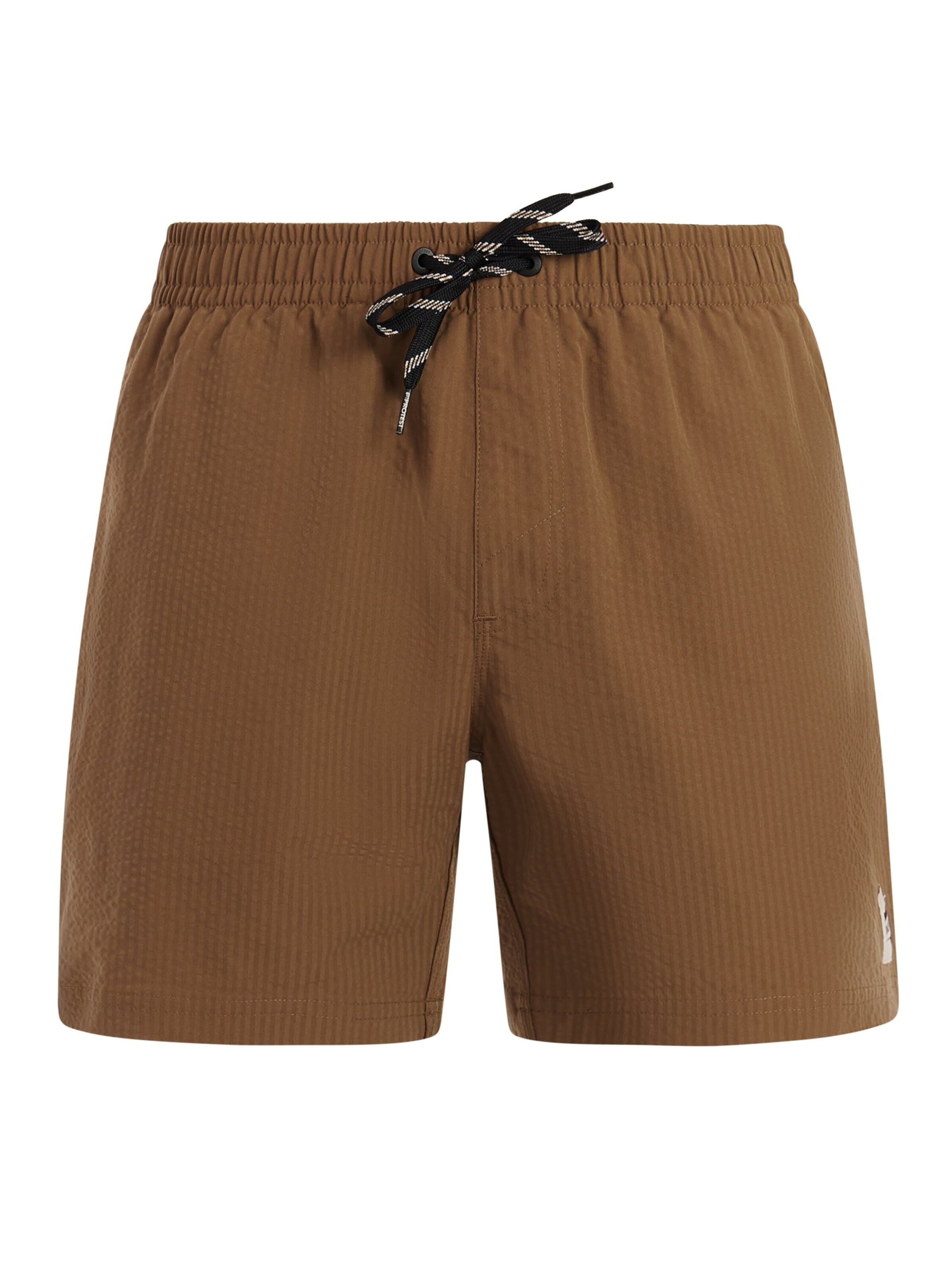 PROTEST Board Shorts 'PRTAgden' in L/Regular in Brown, Item view