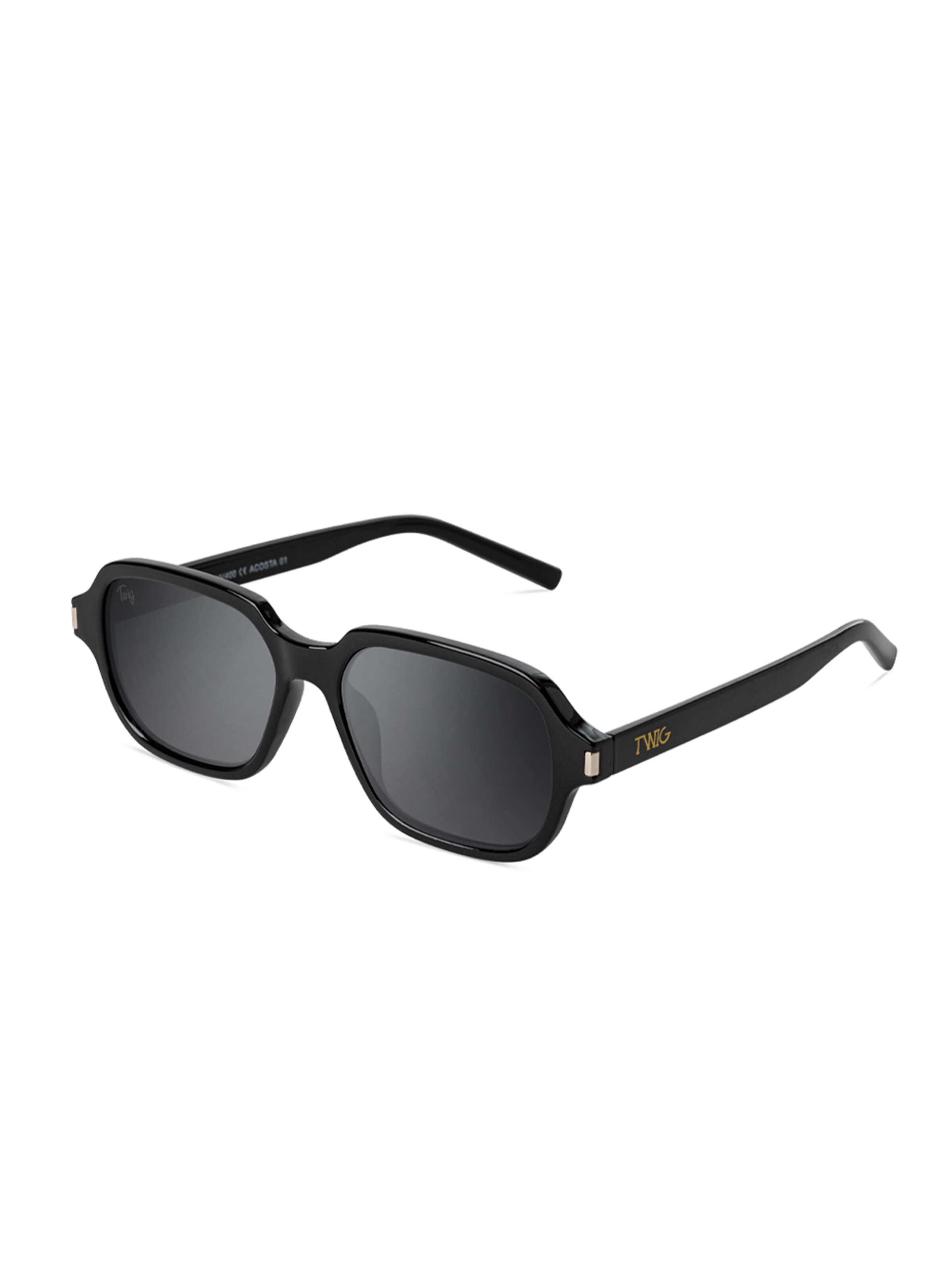 TWIG Concept Milano Sunglasses 'Acosta' in Black