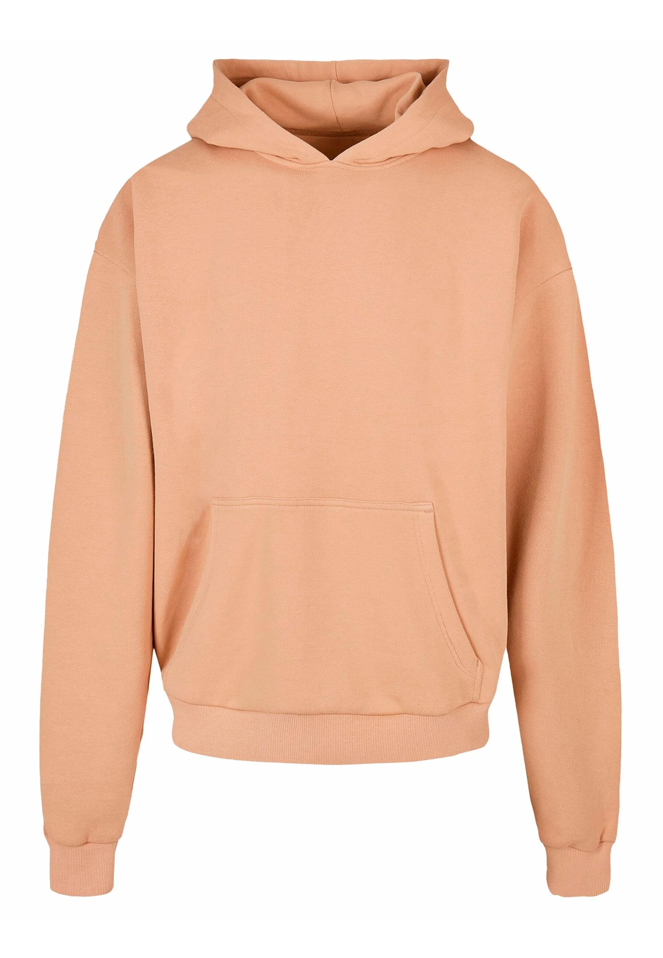 Just Rhyse Sweatshirt 'RisingSun' in Beige: front