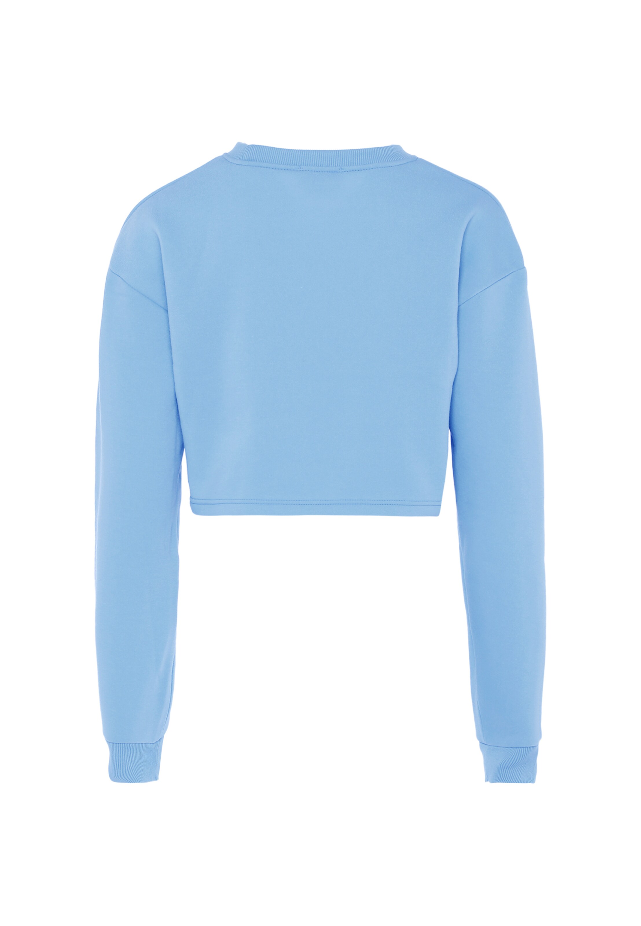 NALLY Sweatshirt in Blauw