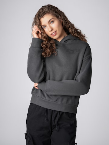 Sublevel Sweatshirt in Grey: front