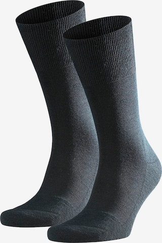 FALKE Socken in Schwarz: predná strana