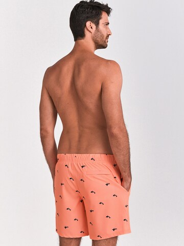 Shiwi Board Shorts in Orange