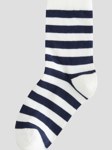 Next Socks in Mixed colours
