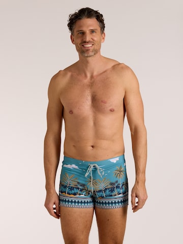 wavebreaker Badehose in Blau: Vorderseite