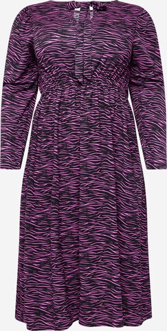 Dorothy Perkins Curve Jurk in Roze: voorkant