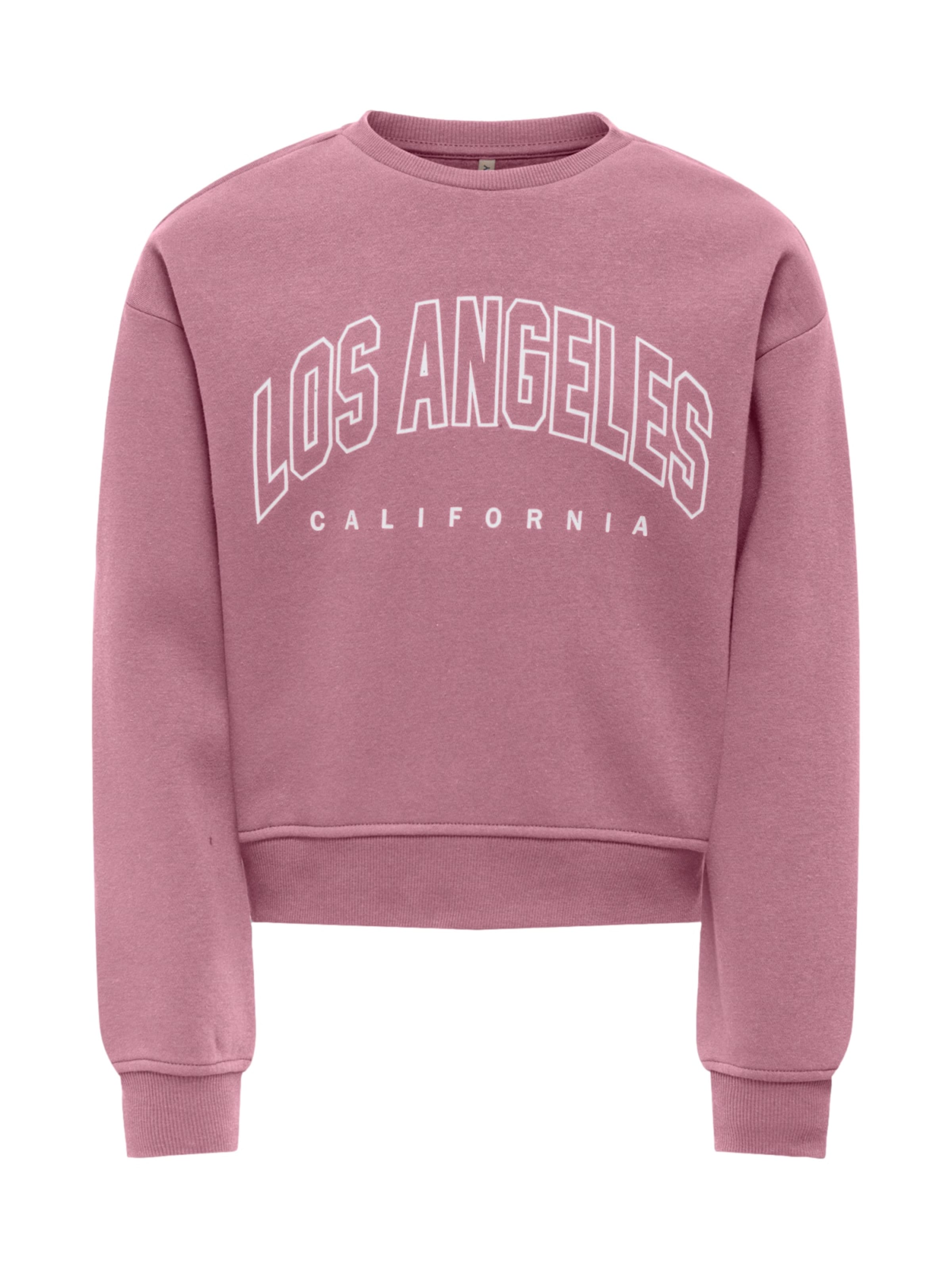 ONLY GIRLS Sweatshirt 'KOGSWEAT' in Roze: voorkant