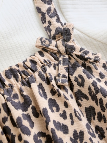 Next Komplet | rjava barva