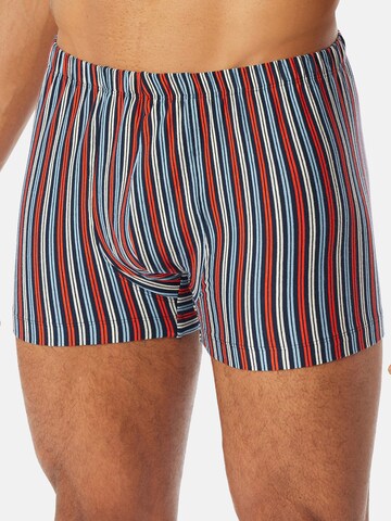 SCHIESSER - Calzoncillo boxer en azul: frente