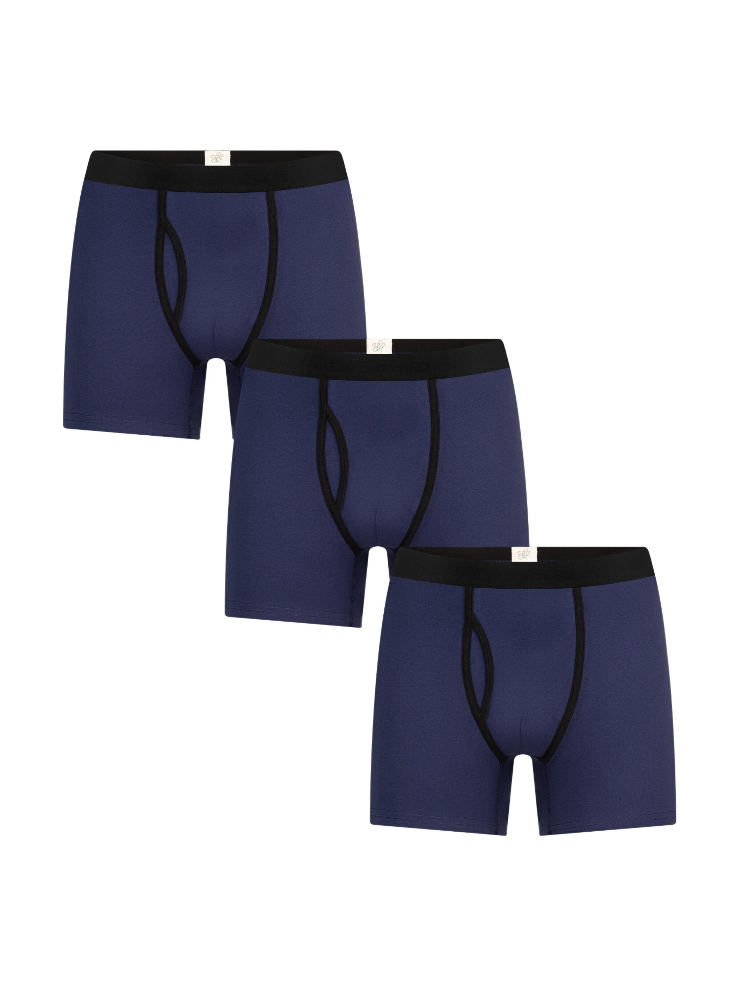 Albero Natur Boxer shorts in Blue: front
