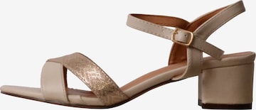 POTI PATI Sandaal 'Supermodische Sandalen mit Absatz' in Beige: voorkant