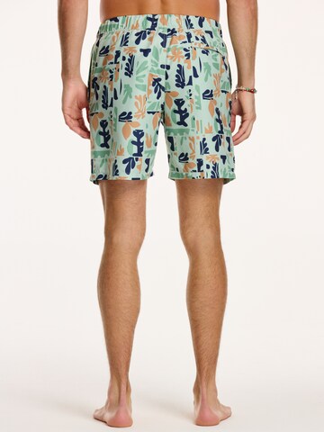 Shiwi Zwemshorts in Groen