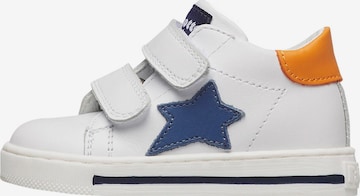 Falcotto Sneaker 'SASHA VL' in Orange: Vorderseite