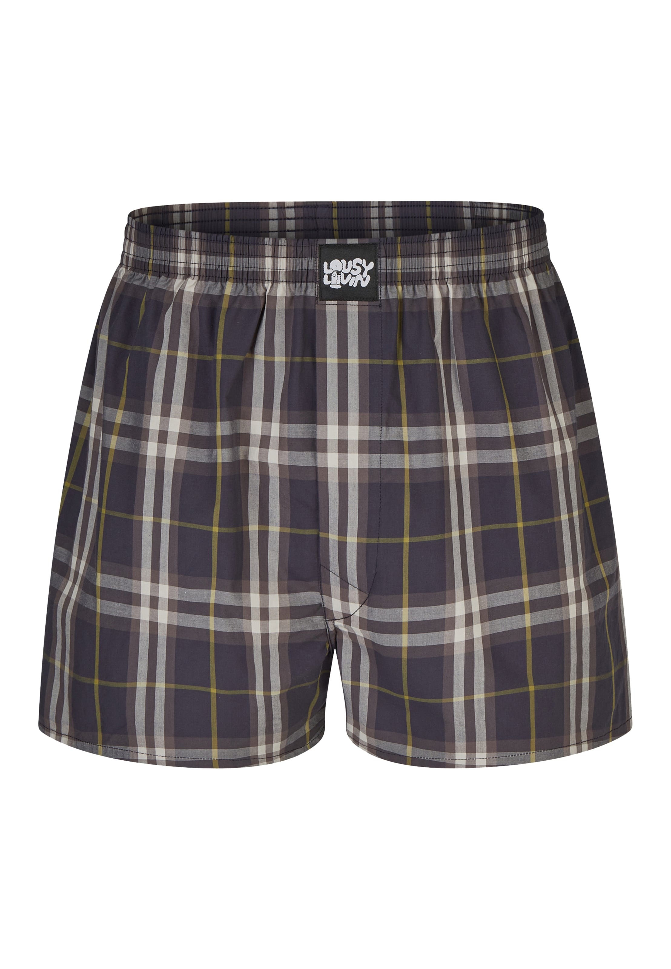 Lousy Livin Boxer shorts 'Check' in Blue