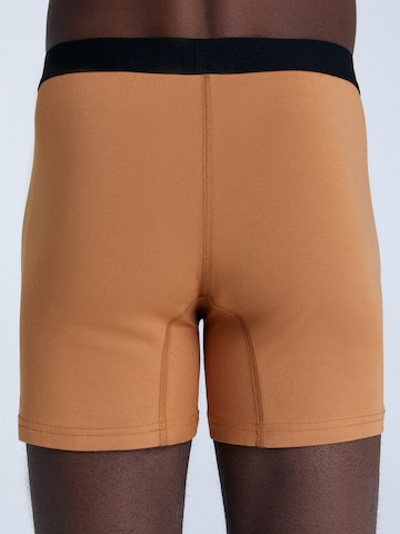 Albero Natur Boxershorts in Gelb