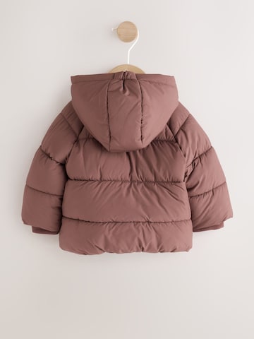 Next Winter Jacket in Brown