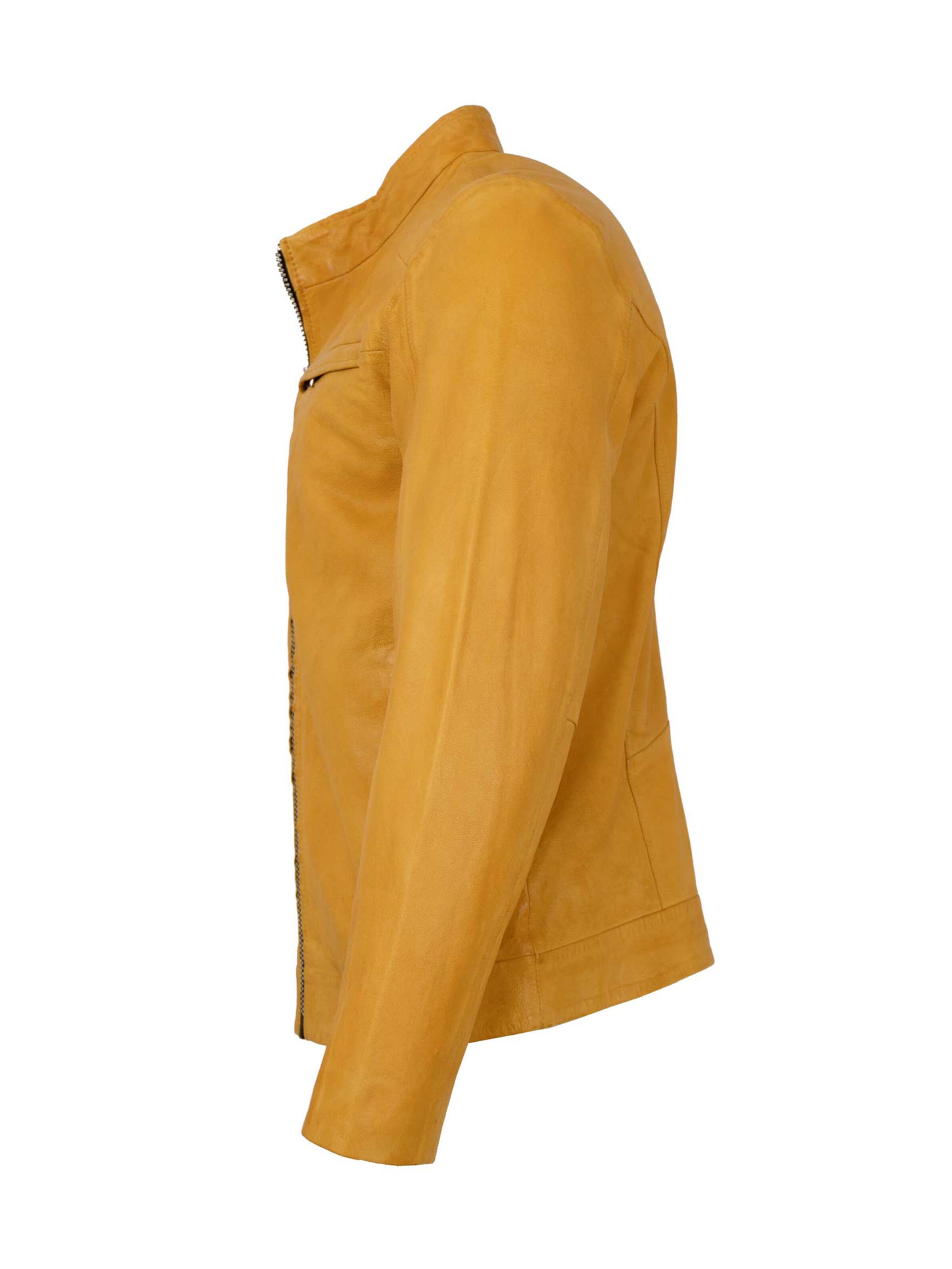 Jilani Tussenjas 'Kawelo' in Geel