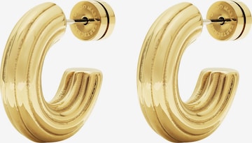 Guido Maria Kretschmer Jewellery Ohrringe in Gold: Vorderseite