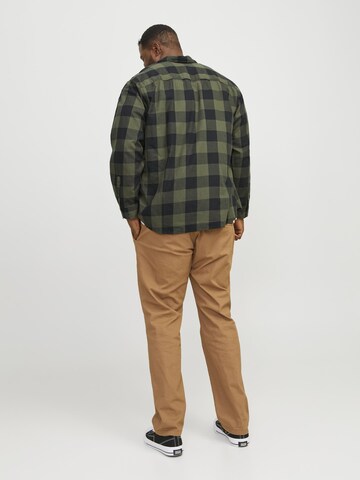 Jack & Jones Plus Comfort fit Overhemd 'JJEGINGHAM' in Groen