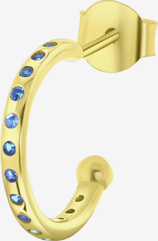 Lucardi Earrings in Gold: front