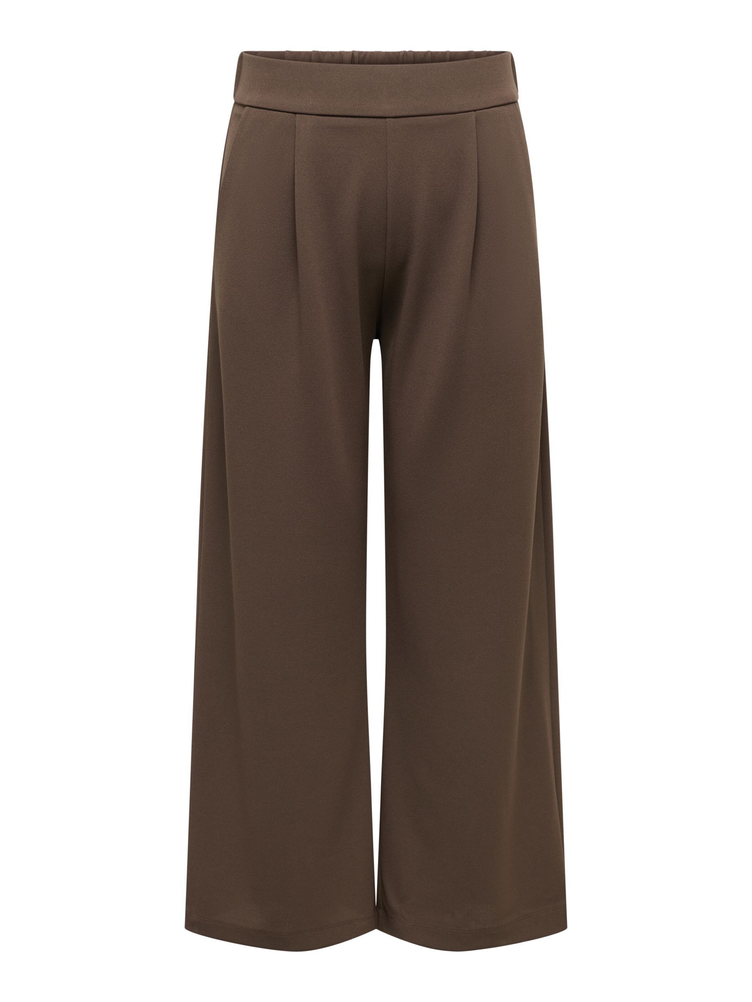 Pantalon à pince 'CARSTILLA' ONLY Carmakoma en marron : devant